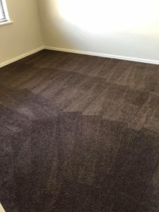 End of Lease Carpet Clean