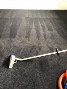 perth-carpet-cleaning-services